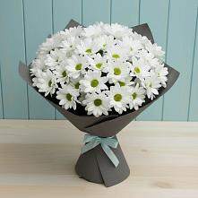 Букет цветов из:  Хризантемы в Юдино